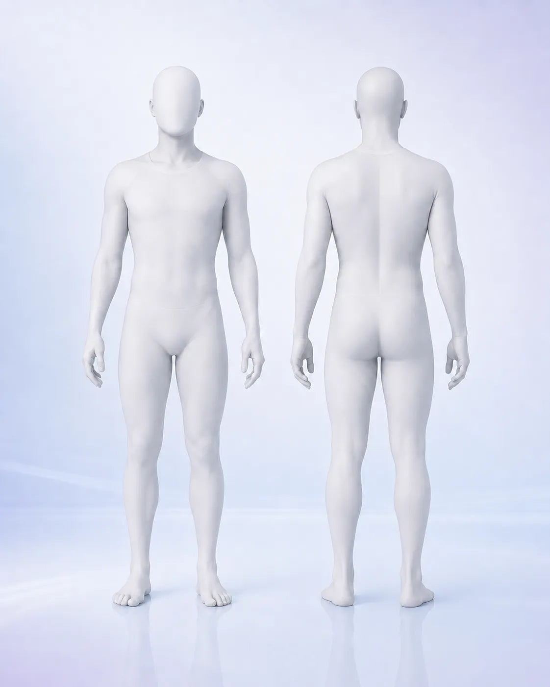 Human Anatomical Chart